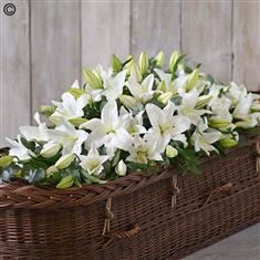 Lily Casket Spray White Extra Large