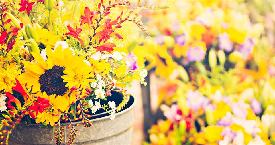 Cut 'N' Dry Florist